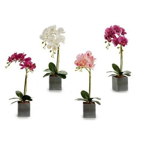 Ukrasni Cvijet Ibergarden A18124-50-2 Orhideja 14 x 51 x 18 cm (6 kom.) Cijena