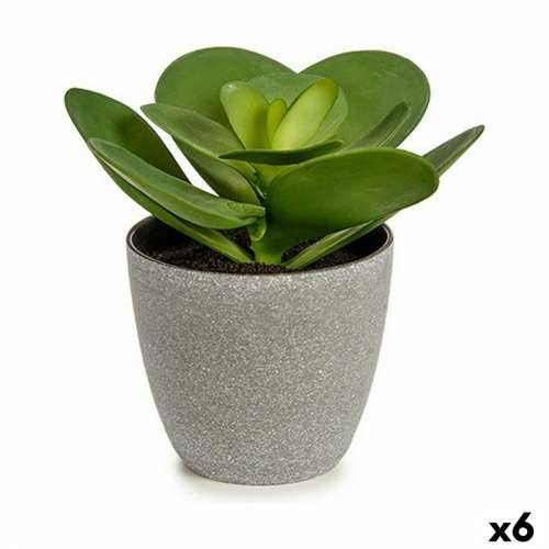 Ukrasna Biljka Ibergarden YC184572 Plastika 18 x 18,5 x 18 cm (6 kom.) Cijena