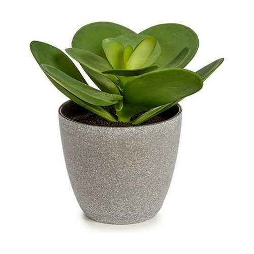 Ukrasna Biljka Ibergarden YC184572 Plastika 18 x 18,5 x 18 cm (6 kom.) Cijena