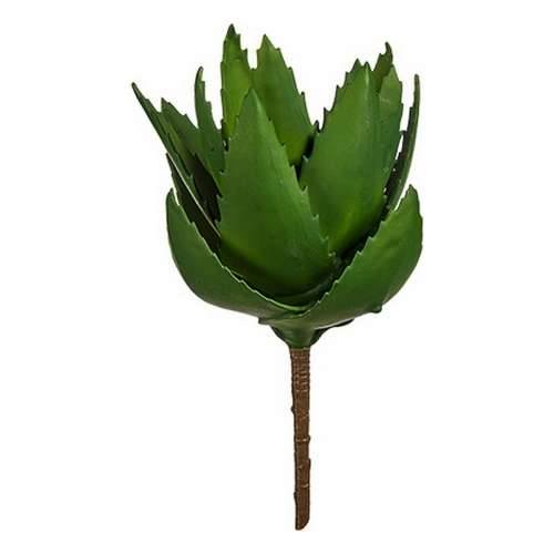 Ukrasna Biljka Ibergarden YD181153 Plastika Aloe verom 13 x 24,5 x 14 cm (6 kom.) Cijena