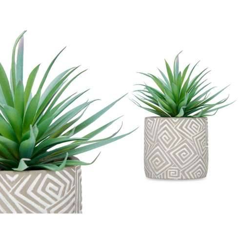 Ukrasna Biljka Ibergarden QY-H012 Drvo Plastika Cement Sukulent 17 x 21 x 17 cm (8 kom.) Cijena