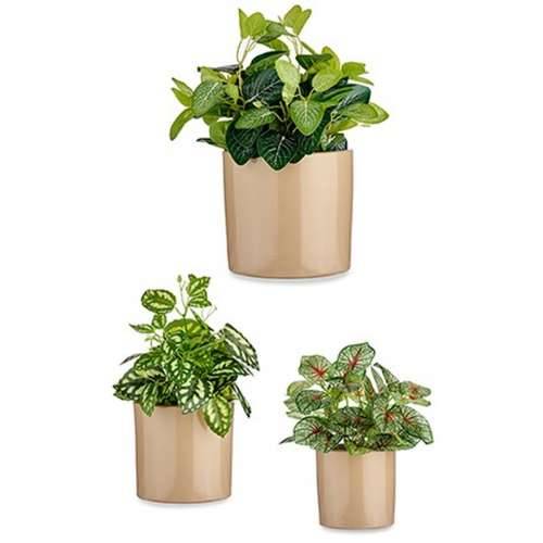Set Tegli Ibergarden CILINDRO-1019 Bež Glinu cilindar Ø 14 cm Ø 22 cm Ø 17 cm 3 Dijelovi Cijena