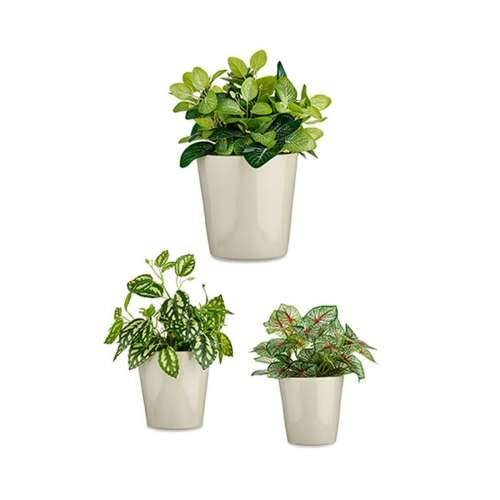 Set Tegli Ibergarden CONICO-7044 Siva Glinu Cónica Ø 14 cm Ø 22 cm Ø 17 cm 3 Dijelovi Cijena
