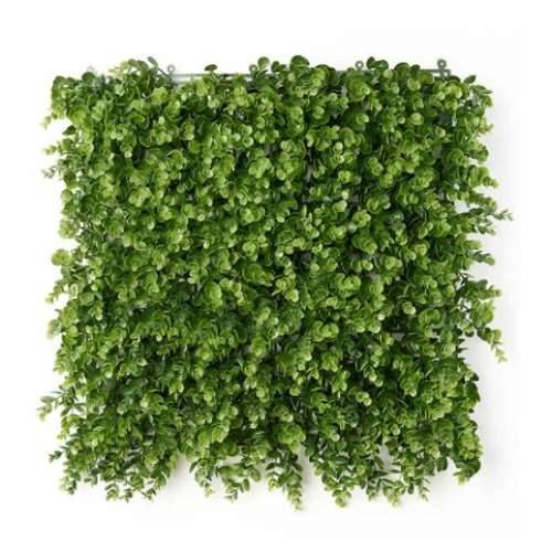 Okomiti vrt Ibergarden Zelena Plastika Listovi 50 x 50 cm Cijena