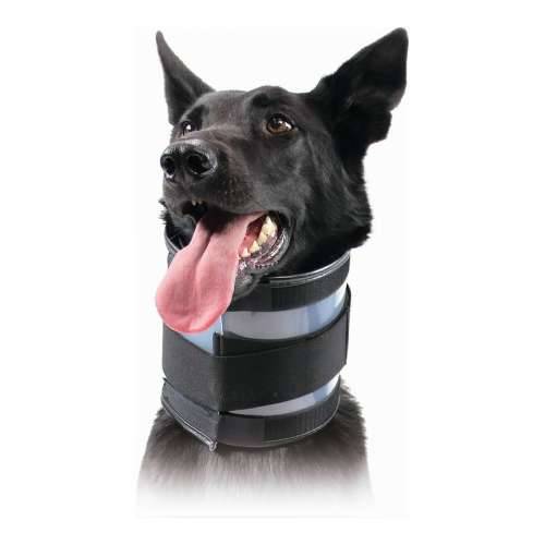 Vratna ogrlica za pse KVP Crna (18-53 cm) Cijena