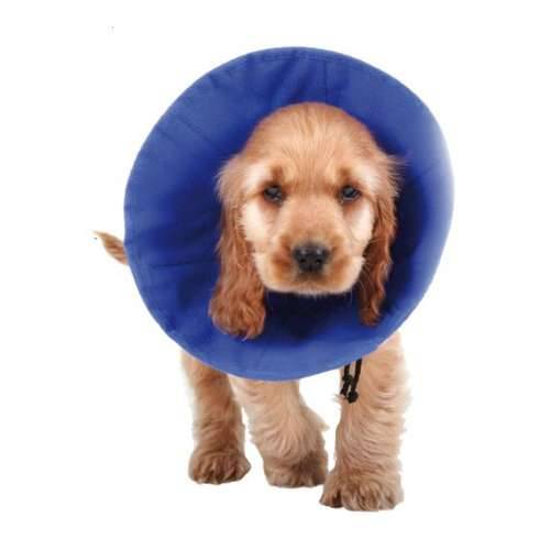 Zaštitni ovratnik za pse KVP EZ Soft Plava (18-38 cm) Cijena