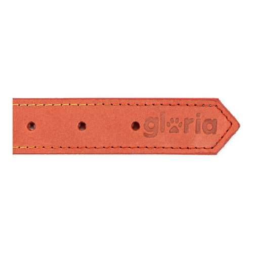 Ogrlica za pse Gloria Oasis Crvena (60 x 3 cm) Cijena