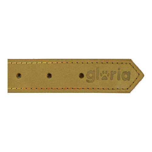 Ogrlica za pse Gloria Oasis Zelena (60 x 3 cm) Cijena