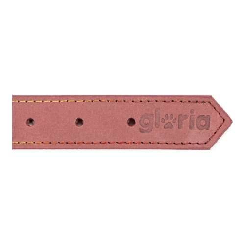 Ogrlica za pse Gloria Oasis Roza (65 x 3 cm) Cijena