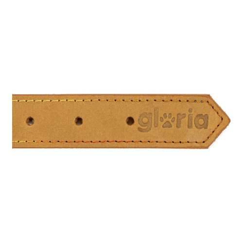 Ogrlica za pse Gloria Oasis Rumena (70 x 3 cm) Cijena