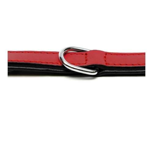 Ogrlica za pse Gloria S podstavom Crvena 50 cm (50 x 2,5 cm) Cijena