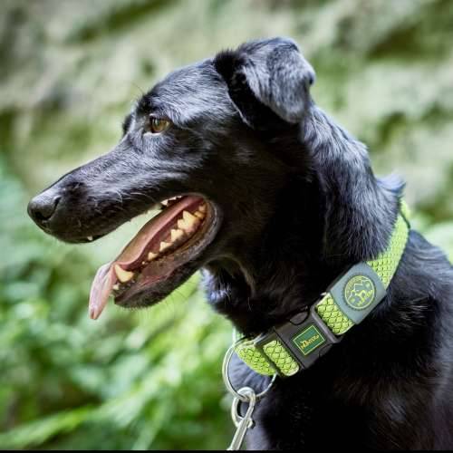Ogrlica za pse Hunter Vario Plus Niti Veličina L Lime (40-60 cm) Cijena