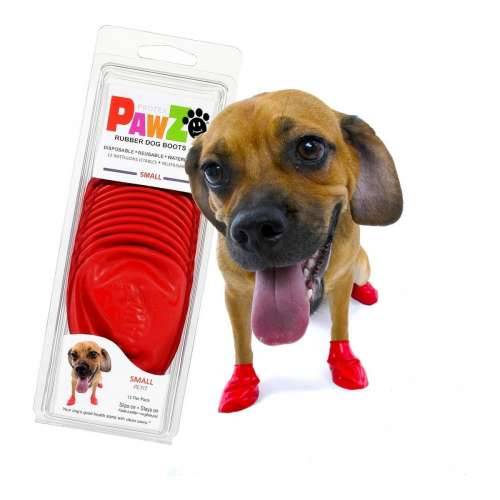 Čizme Pawz Pas Crvena 20 Cijena