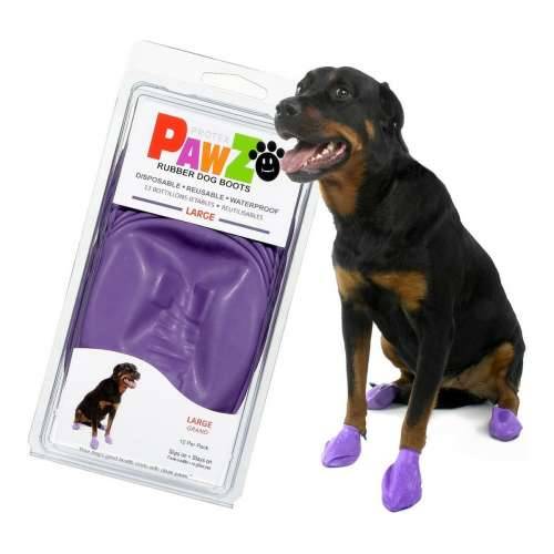 Čizme Pawz Pas 12 kom. Vijoličasta Veličina L Cijena