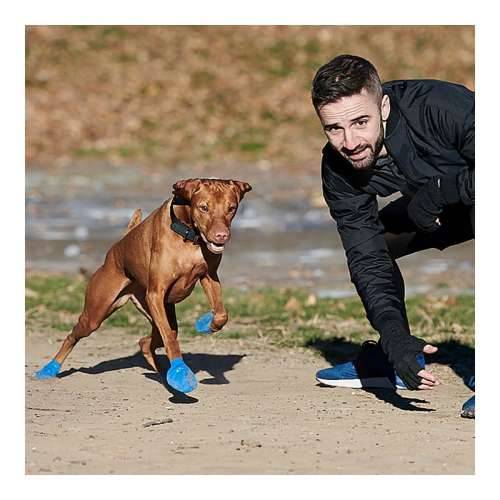 Čizme Pawz Pas 12 kom. Veličina XL Zelena Cijena