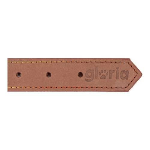Ogrlica za pse Gloria Oasis Smeđa (70 x 3 cm) Cijena
