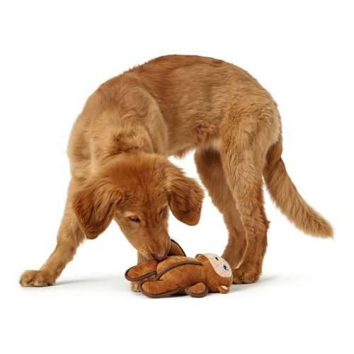 Pseća igračka Hunter Togh Toys Smeđa 25 cm Majmun Cijena