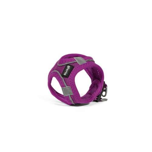 Orma za pse Gloria Trek Star 24-26 cm 28-28,6 cm Vijoličasta XXS Cijena
