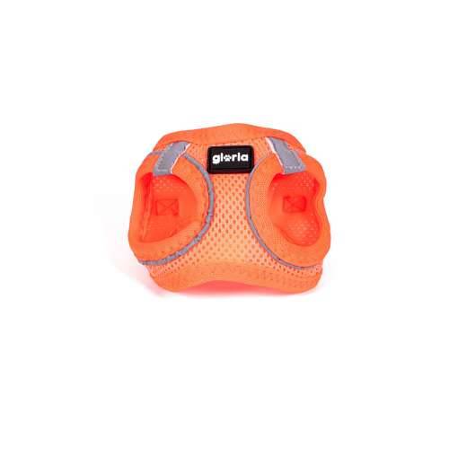 Orma za pse Gloria Trek Star 24-26 cm 28-28,6 cm Oranžna XXS Cijena