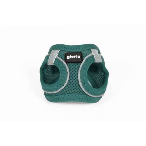 Orma za pse Gloria Trek Star 24-26 cm 28-28,6 cm Turkizno XXS Cijena