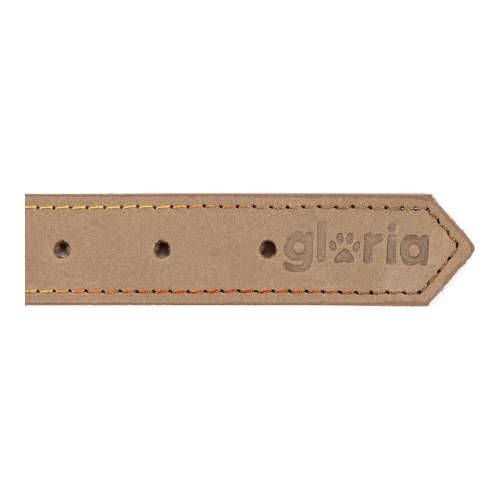 Ogrlica za pse Gloria Oasis Bijela (70 x 3 cm) Cijena