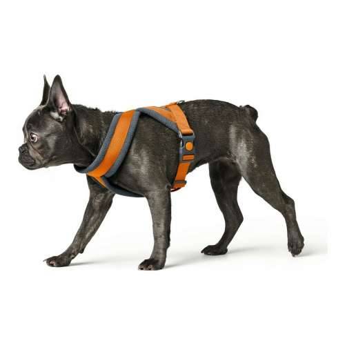 Orma za pse Hunter London Comfort 48-56 cm Oranžna Veličina S/M Cijena