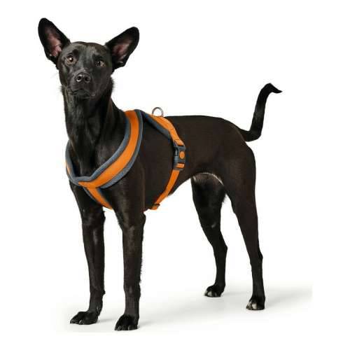Orma za pse Hunter London Comfort Oranžna S/M 52-62 cm Cijena