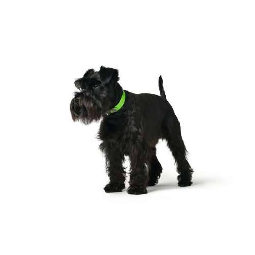 Ogrlica za pse Hunter Convenience 23-31 cm Zelena XS/S Cijena