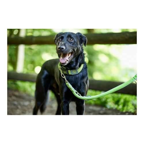 Povodac za pse Hunter HILO Lime (200 cm) Cijena