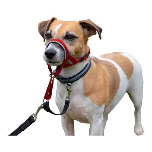 Ogrlica za obuku pasa Company of Animals Halti Náhubok (40-54 cm) Cijena