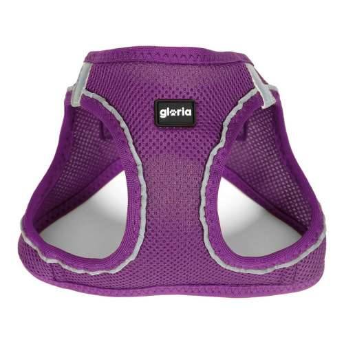 Orma za pse Gloria Air Mesh Trek Star Podesivo Vijoličasta L (33,4-35 cm) Cijena