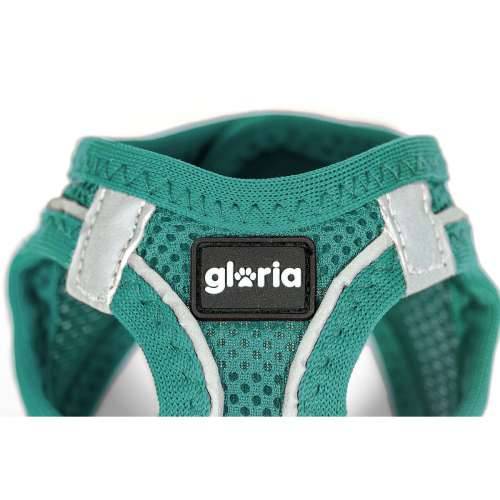 Orma za pse Gloria Trek Star 33,4-35 cm 51-52 cm Turkizno L Cijena