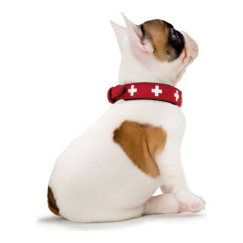 Ogrlica za pse Hunter Swiss Crvena/Crna (24-28.5 cm) Cijena