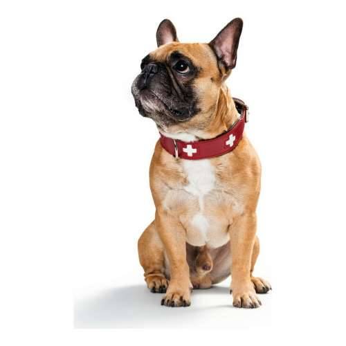 Ogrlica za pse Hunter Swiss Crvena/Crna (24-28.5 cm) Cijena