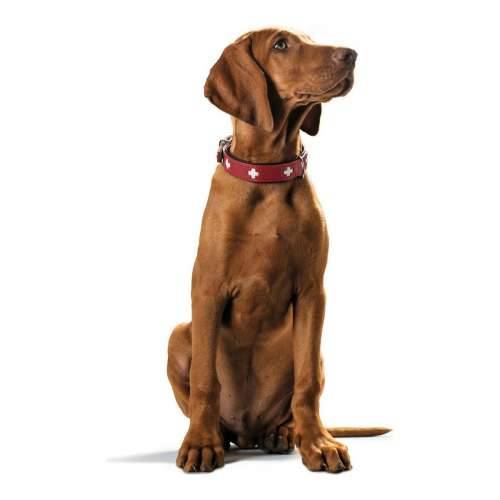 Ogrlica za pse Hunter Swiss Crvena/Crna (24-28.5 cm) Cijena