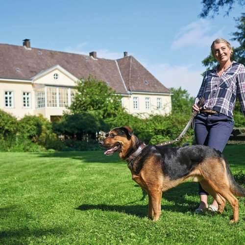 Ogrlica za pse Hunter Swiss Negro, marrón (24-28.5 cm) Cijena