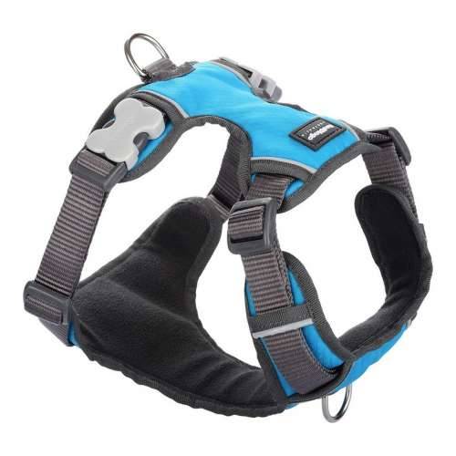 Orma za pse Red Dingo S podstavom Turquoise L Cijena