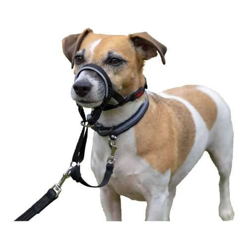 Ogrlica za obuku pasa Company of Animals Halti Crna Náhubok (31-40 cm) Cijena