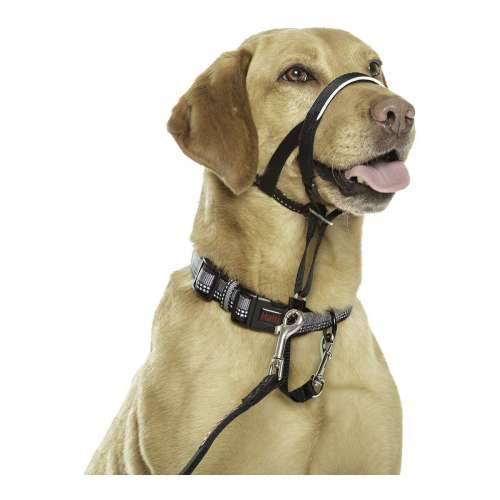 Ogrlica za obuku pasa Company of Animals Halti Crna Náhubok (40-54 cm) Cijena