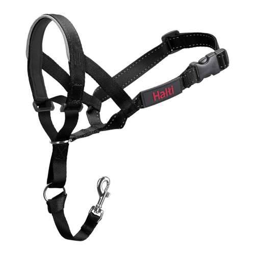 Ogrlica za obuku pasa Company of Animals Halti Crna Náhubok (46-62 cm) Cijena