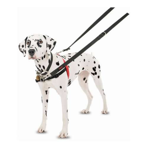 Orma za pse Company of Animals Halti Crna/Crvena Veličina M (58-86 cm) Cijena