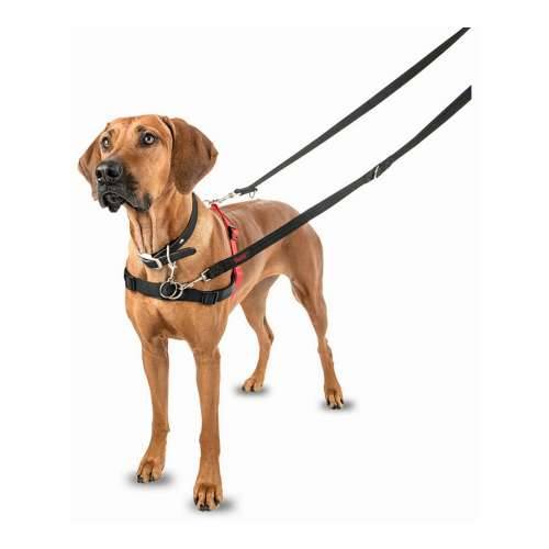 Orma za pse Company of Animals Halti Crna/Crvena L (80-120 cm) Cijena