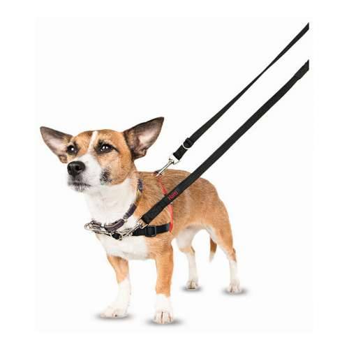 Orma za pse Company of Animals Halti Crna/Crvena L (80-120 cm) Cijena