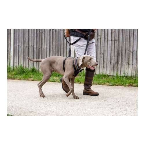 Orma za pse Company of Animals Halti Veličina S (26-36 cm) Cijena