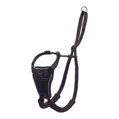Orma za pse Company of Animals Halti Veličina M (34-56 cm) Cijena