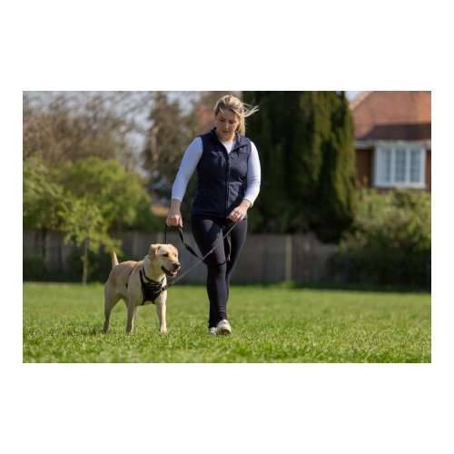 Orma za pse Company of Animals Halti Veličina M (34-56 cm) Cijena