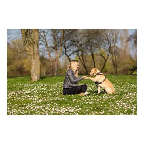 Orma za pse Company of Animals Halti Veličina M (34-56 cm) Cijena