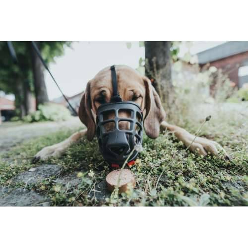 Náhubok Hunter Albury Crna 2 Cijena