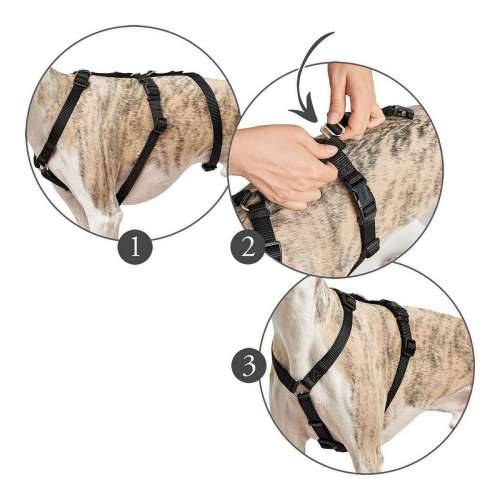 Orma za pse Hunter 48-70 cm Crna S/M Cijena