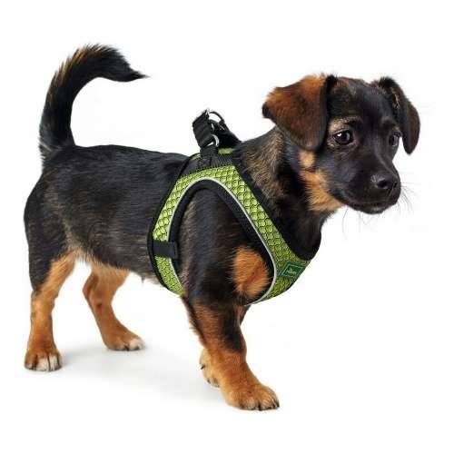 Orma za pse Hunter Hilo-Comfort Lime M (55-60 cm) Cijena